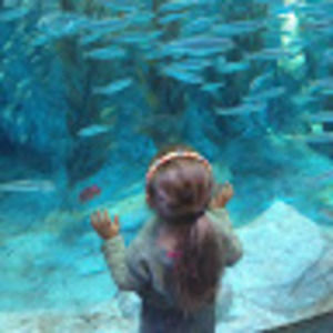 Meet your Posher, Ym